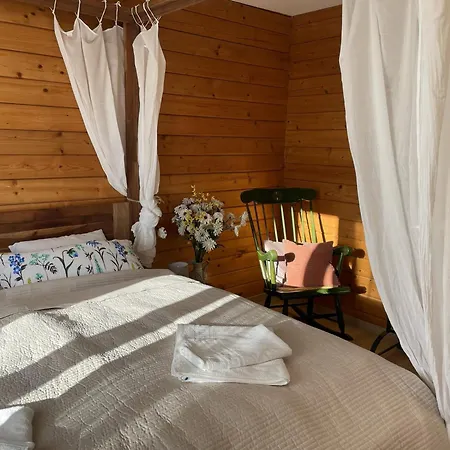 Holiday home Waldmarie *