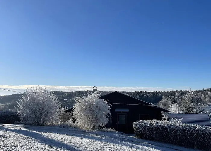 Waldmarie Holiday home Grafenau (Bavaria)